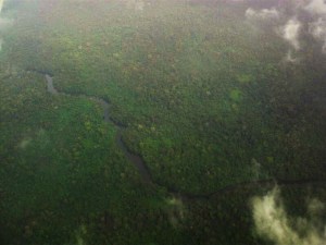 Over the Amazon rainforest in southern Suriname